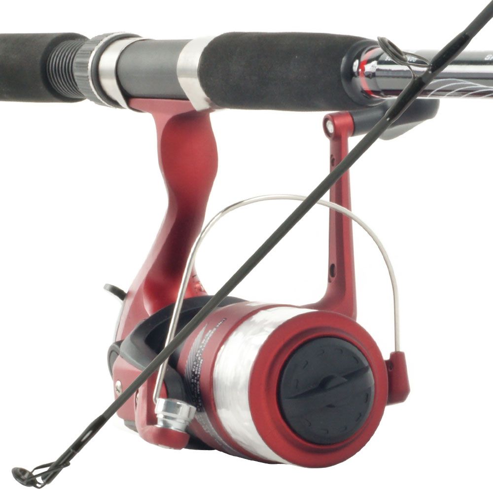  spin_prod_44955701
