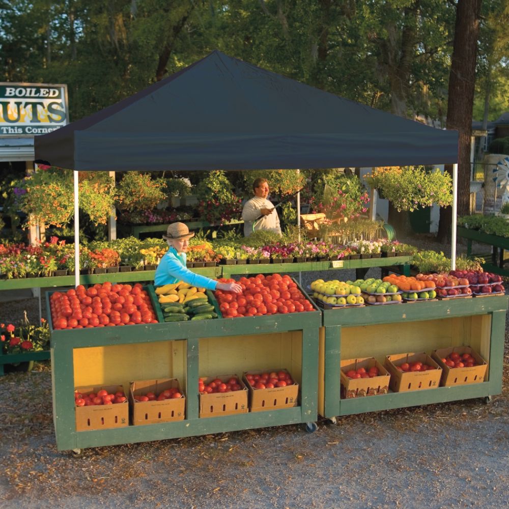 Shelter Logic 10x10 Open Top Pro Pop-up Canopy Black Cover at Kmart.com