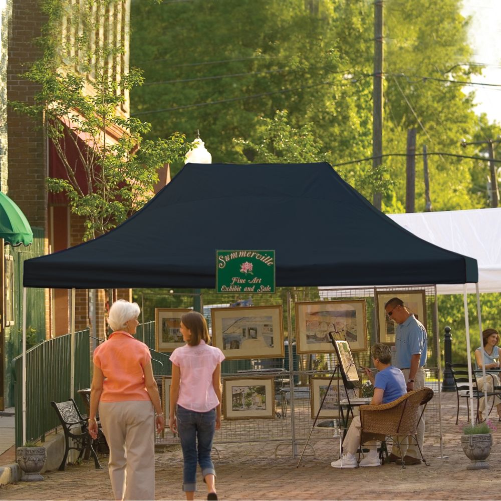 Shelter Logic 10x15 Truss Pro Pop-up Canopy Black Cover at Kmart.com