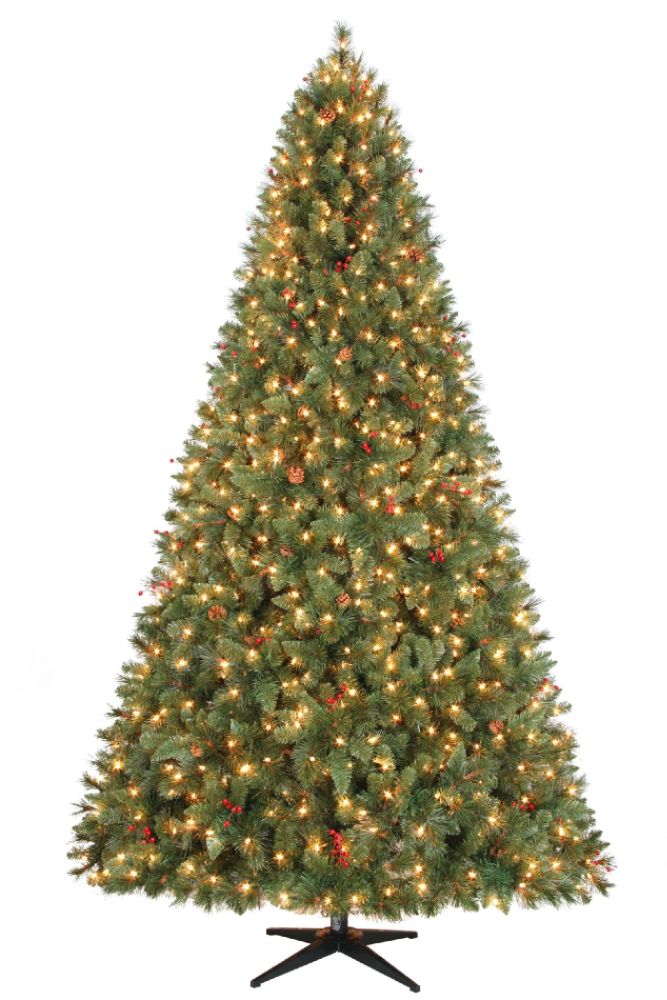 Country Living 9ft.  Kensington Fir Christmas Tree with Clear Lights at Kmart.com
