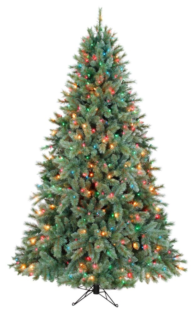 Trees