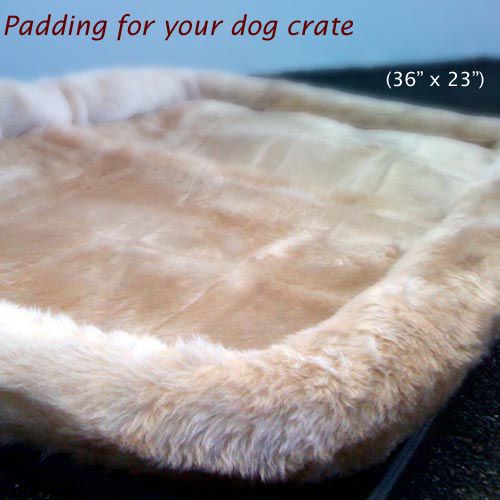 Majestic Pet 36in Majestic Pet Crate Pet Bed Mat (Honey) at Kmart.com