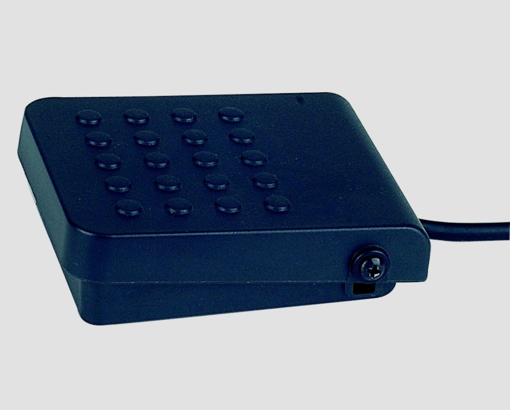 Spectrum AIL SP Dual Polarity Sustain Pedal Children's Toys