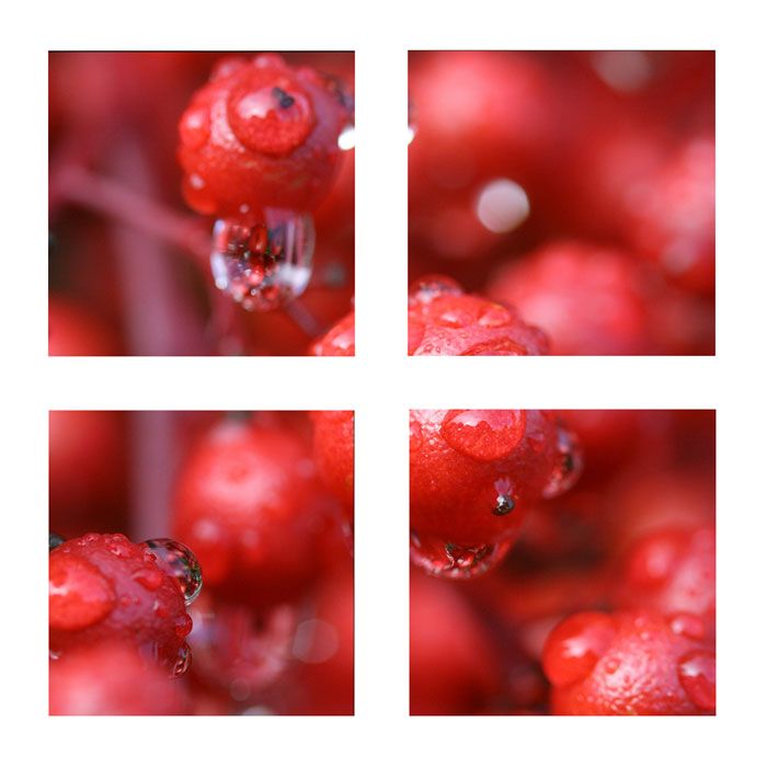 Trademark Art Four 18x18 inch pieces "Red Rain" by CATeyes price decreased by 75%