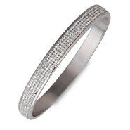  Stainless Steel Clear Crystal Bangle