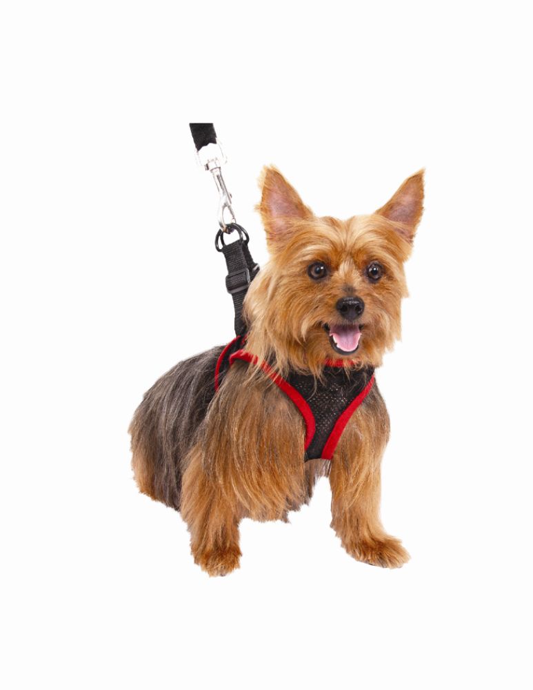 Comfy Control Harness for Dogs - Size Small at Kmart.com