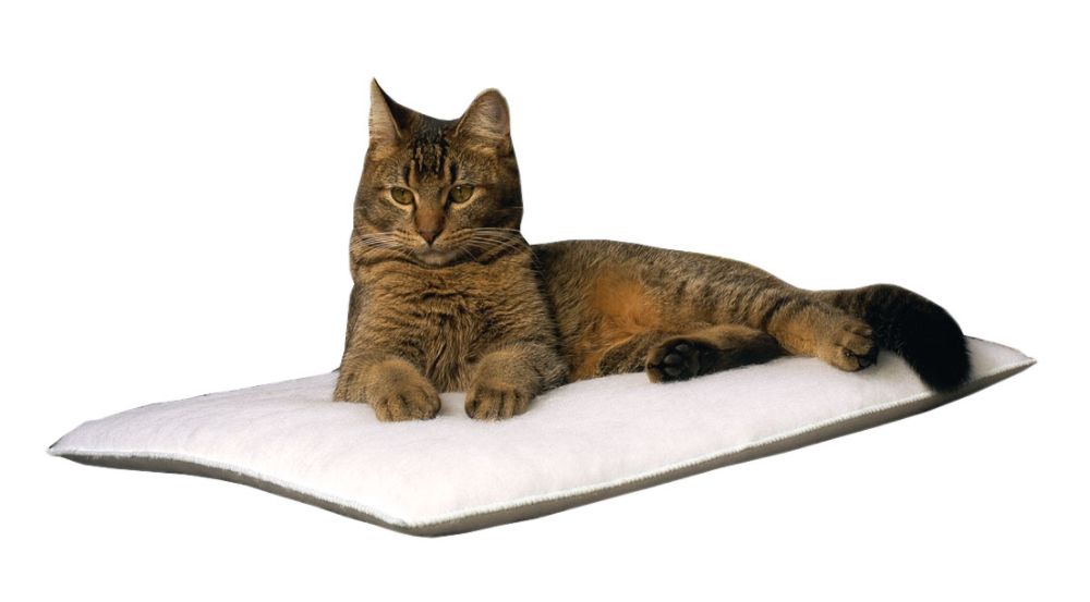 Carolina Pet Mysterious Purr Pad - White at Kmart.com
