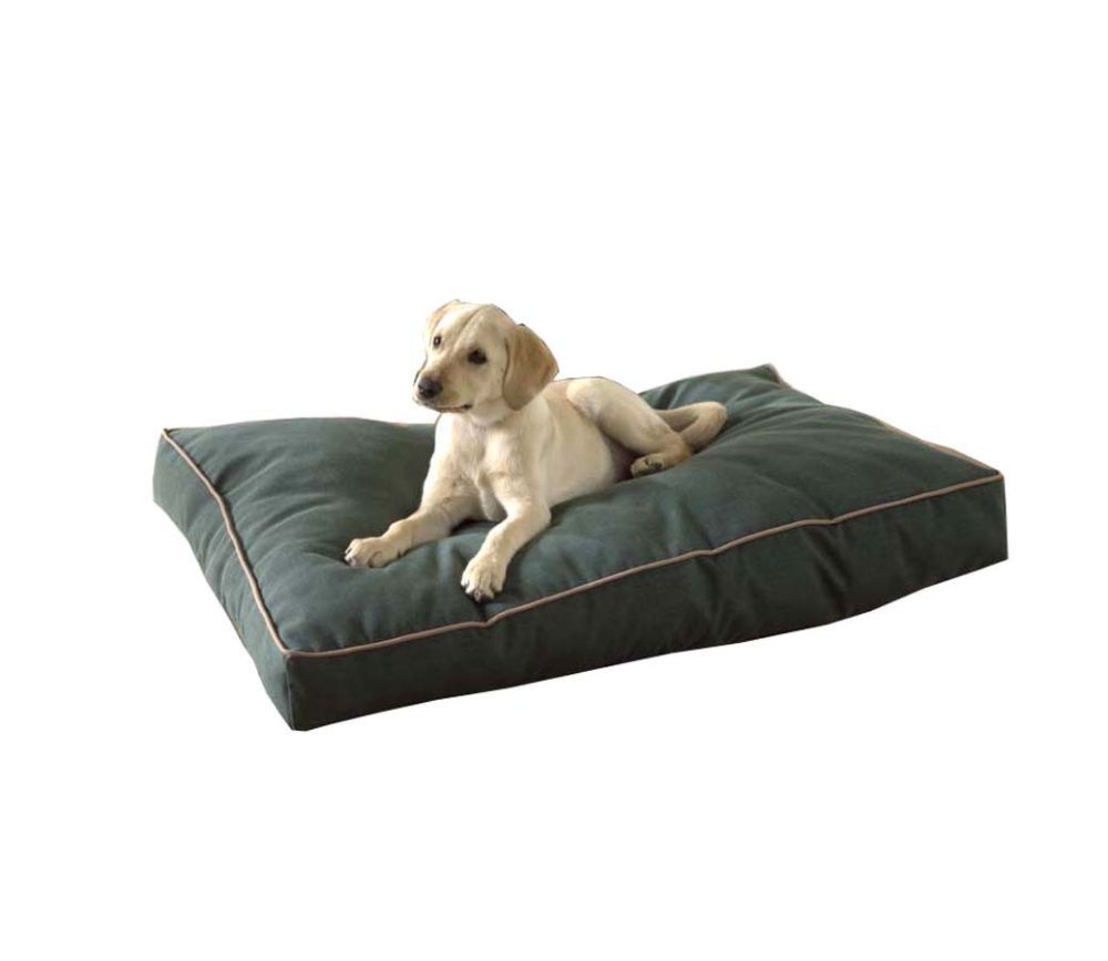 Carolina Pet Small Indoor/ Outdoor Faux Gusset 