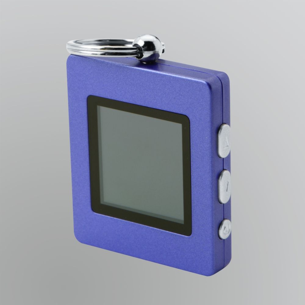 sharper image digital picture keychain