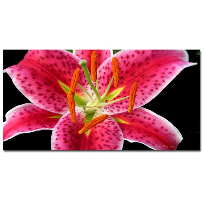 Trademark Art 18x32 inches Kathie McCurdy "Stargazer Lily" at Sears.com