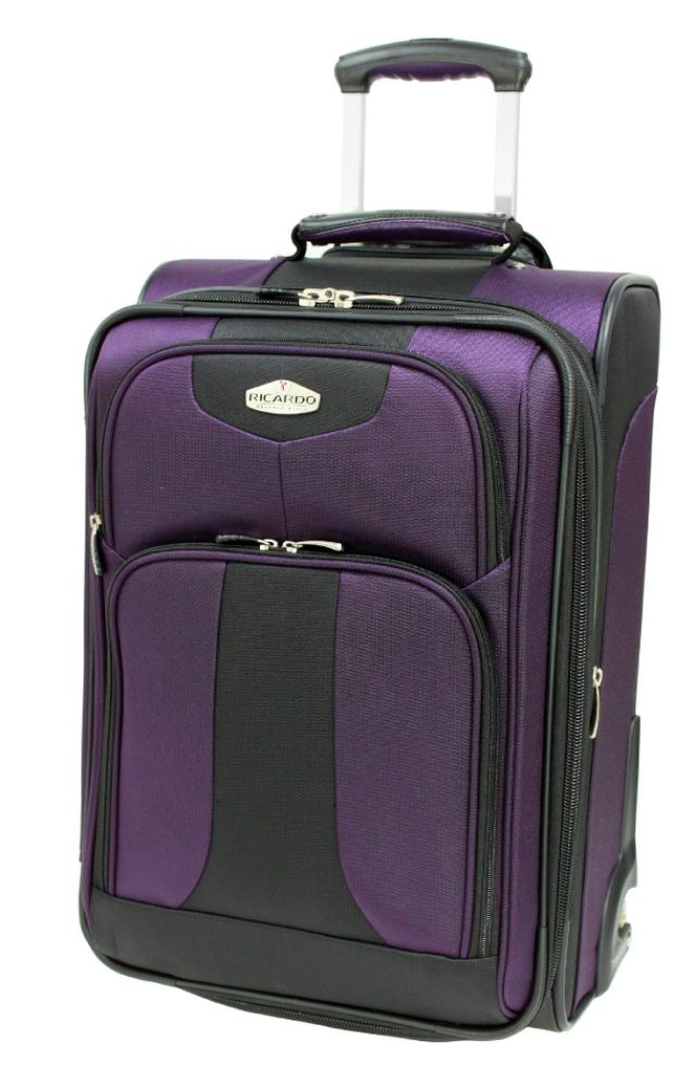 Ricardo REXFORD 21 INCH Upright Expandable Wheelaboard - PURPLE at Sears.com
