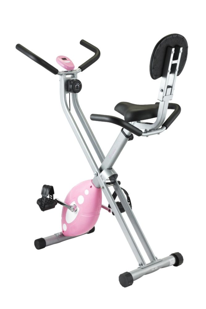 Sunny Health&Fitness&nbsp; SF-RB1117 Folding Recumbent Bike