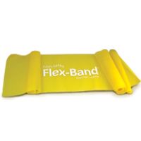 STOTT PILATES® Non-Latex Flex-Band® - Regular (lemon) at Kmart.com