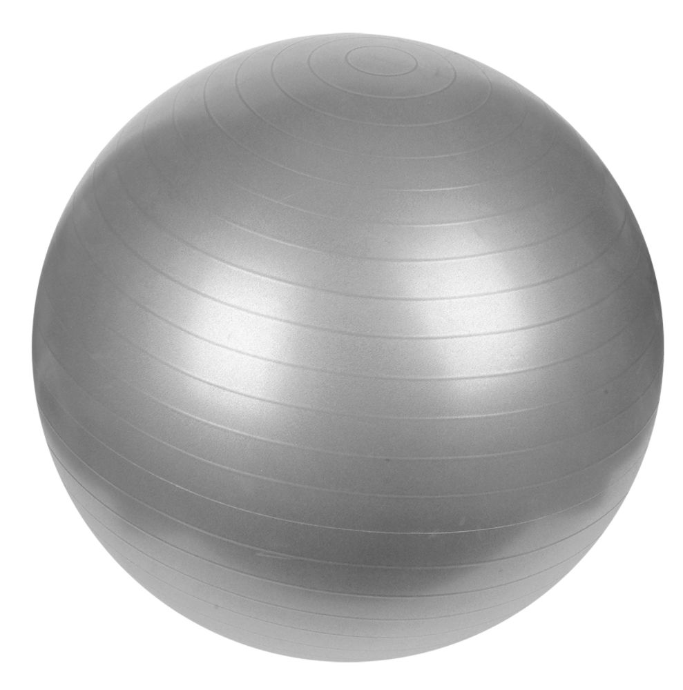 Sunny Health & Fitness Anti-Burst Gym Ball-65cm