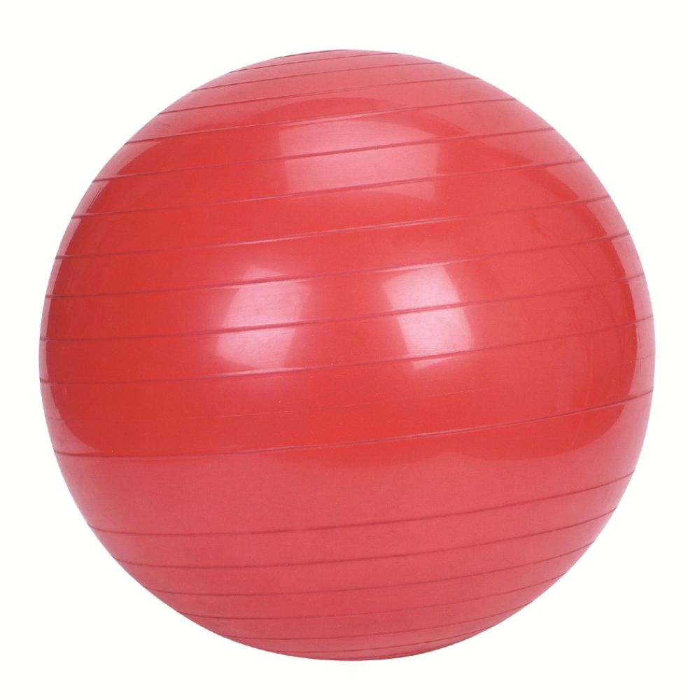 Sunny Health & Fitness Exercise Ball-55cm