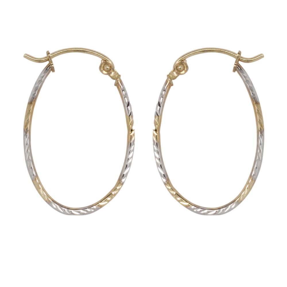 10K Two Tone Gold Small Hoop Earrings