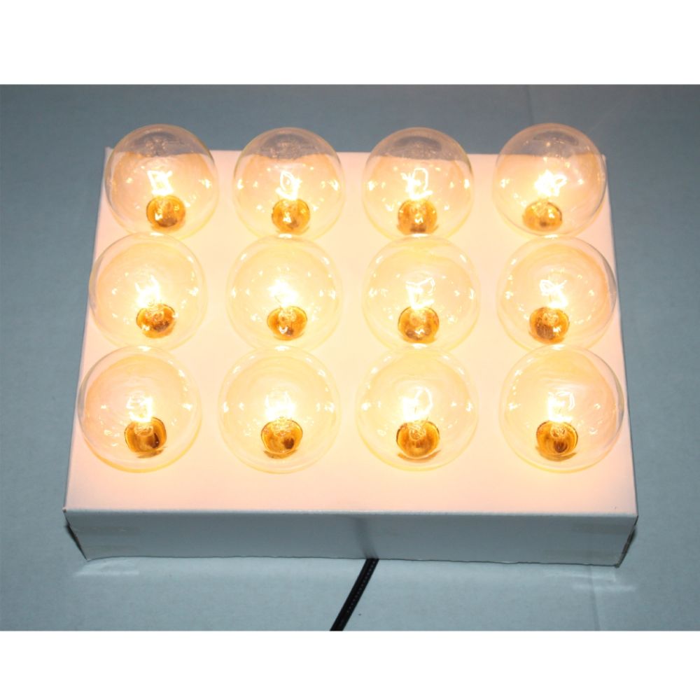 Garden Oasis 12 Ct. Clear Glass Bulb Light Set at Kmart.com