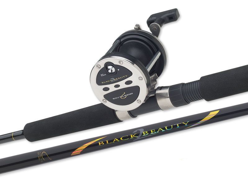 Black Beauty 2 Trolling Rod at Sears.com