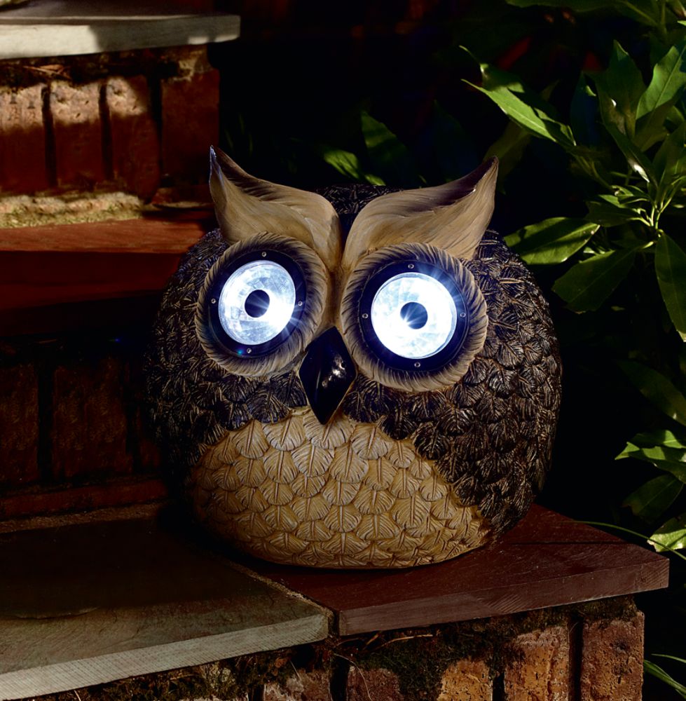 Garden Oasis Solar Owl