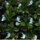 Solar Moon 30 Light Set