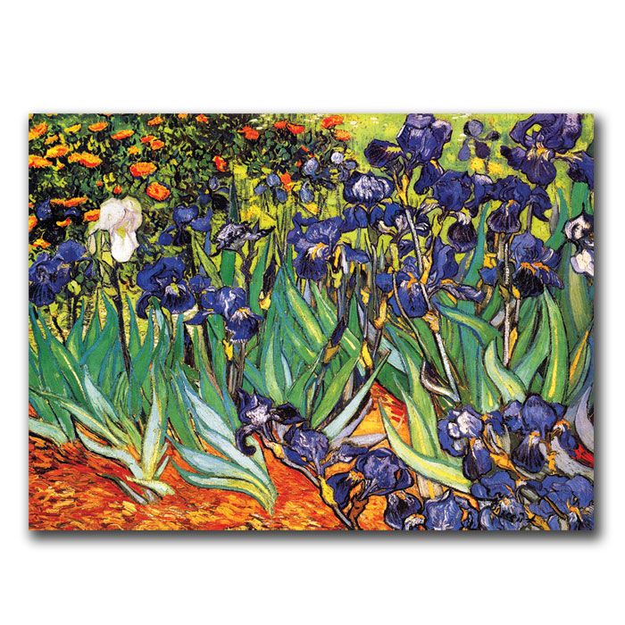 Trademark Art 24x32 inches "Irises; Saint-Remy" by Van Gogh at Sears.com