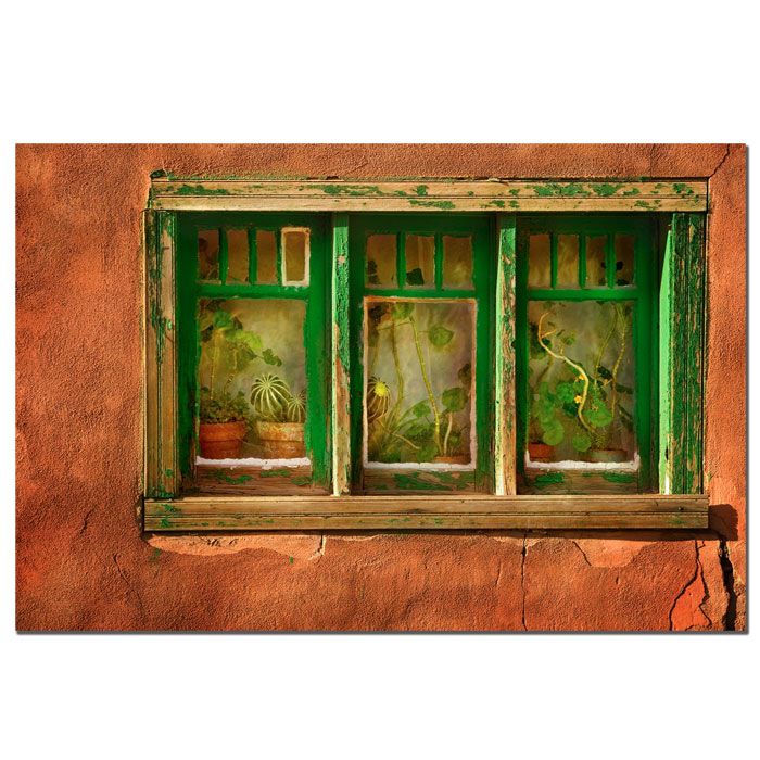 Trademark Art 14x19 inches "Cactus Window" by AIANA