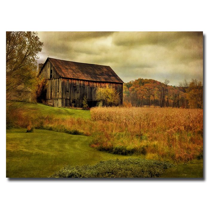 Trademark Art 16x24 inches Lois Bryan "Old Barn on Rainy Day" price decreased by 48%