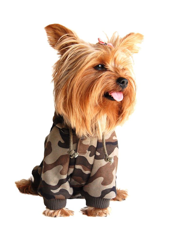 Anima Camouflage Drawstring Hoodie Available in Pink or Army Green in All Sizes at Kmart.com