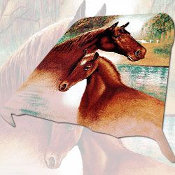 Trademark Global Acrylic Mink DB911 Two Horses Blanket at Kmart.com