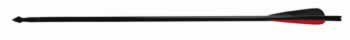 Barnett Composite Arrows at Sears.com