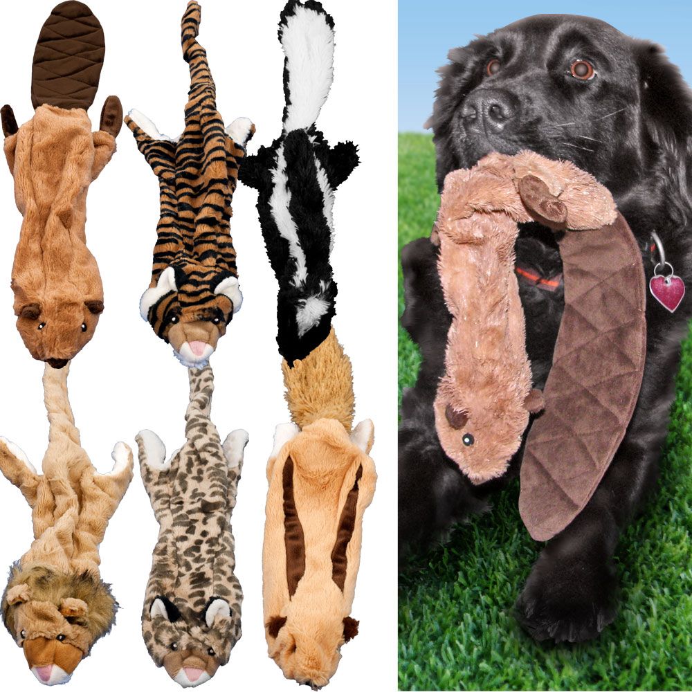 Crazy Critters Stuffing-Free Dog Toys - Set of 6 at Kmart.com