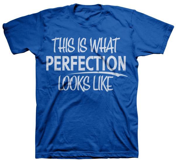 Mens Big & Tall Short Sleeve Tee Shirt Perfection Blue at Kmart.com