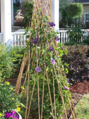 Misc. Outdoor Decor