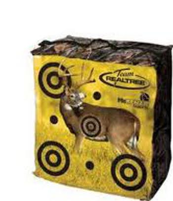 McKenzie Team Realtree 20x20x8 Bag at Sears.com
