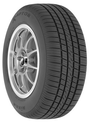 Raptor - 205/50R17XL V BW - All Season Tire