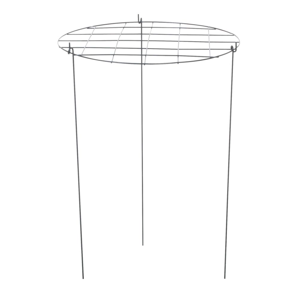 Panacea EB Grow Thru Ring 14" at Kmart.com
