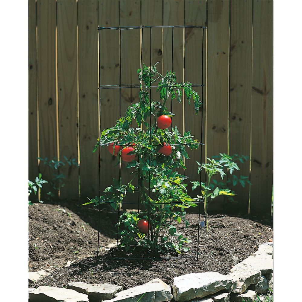 Panacea EB Tomato Trellis 47" at Kmart.com