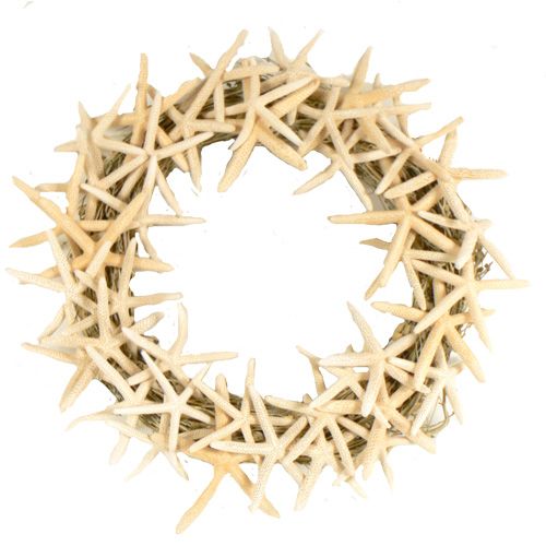 The Christmas Tree Company Sea Star 22 Inch Premium Dried Floral Wreath at Sears.com