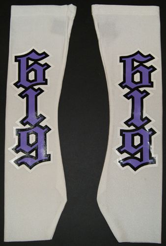 WWE Rey Mysterio (White & Purple) - WWE Replica Wrestling Armbands at Sears.com