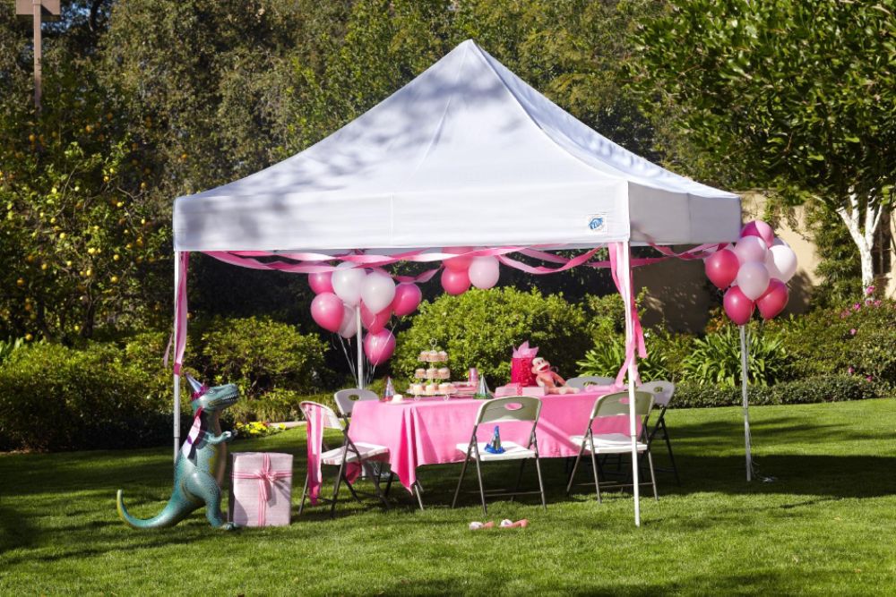 E-Z Up Express II 10'x10' Canopy at Sears.com