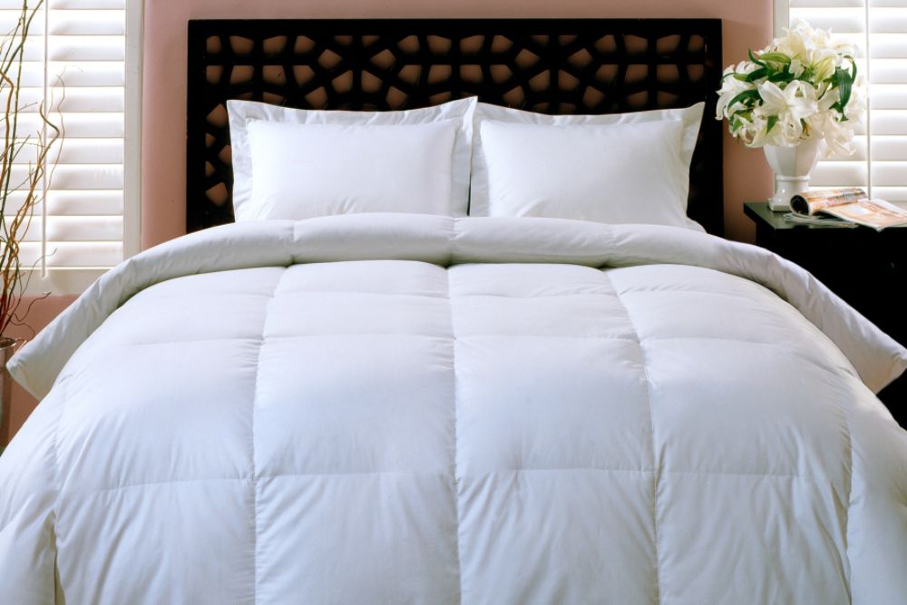 Blueridge Home Fashions 400 Thread Count White Down Comforter F/Q at Kmart.com