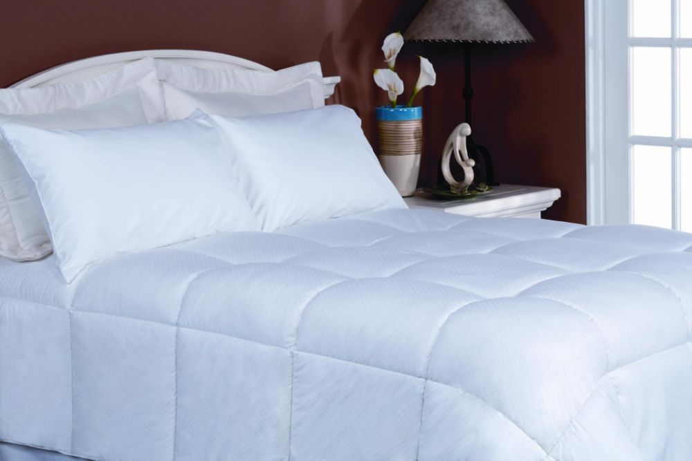 Blueridge Home Fashions 233 Thread Count Alternative Down Comforter F/Q at Kmart.com