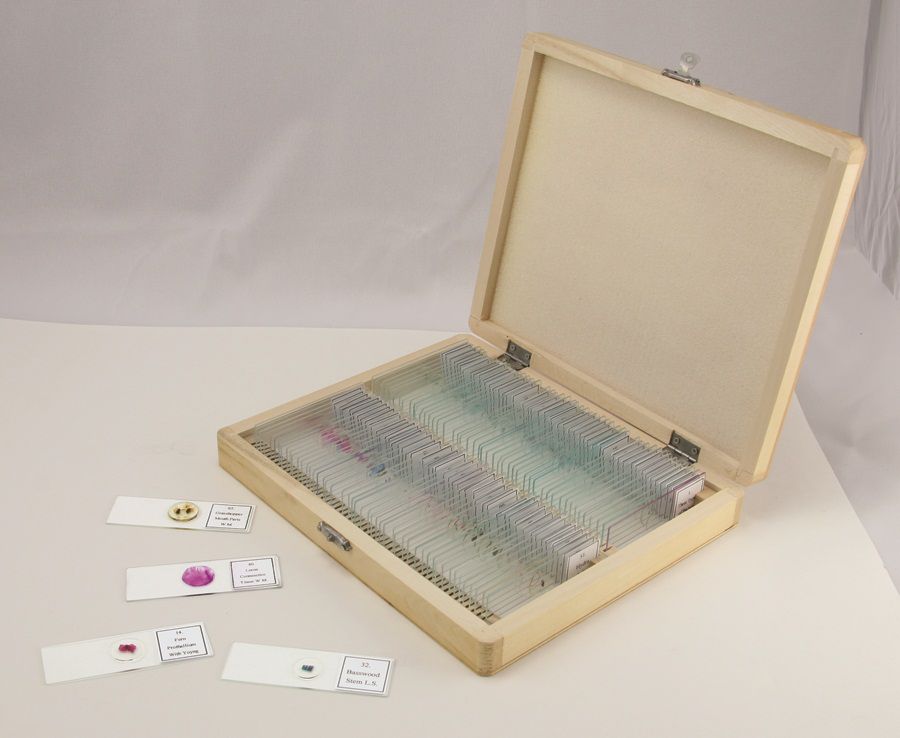 Celestron Prepared Microscope Slides - 100 pcs. Children's Toys