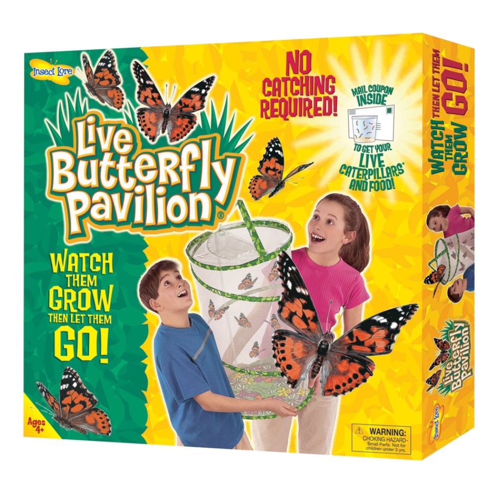 Insect Lore - Butterfly Pavilion at Kmart.com
