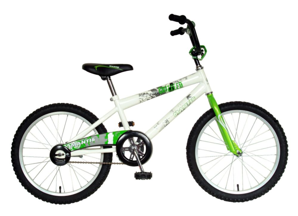 Grizzled 20 Inch Boy's BMX Bike