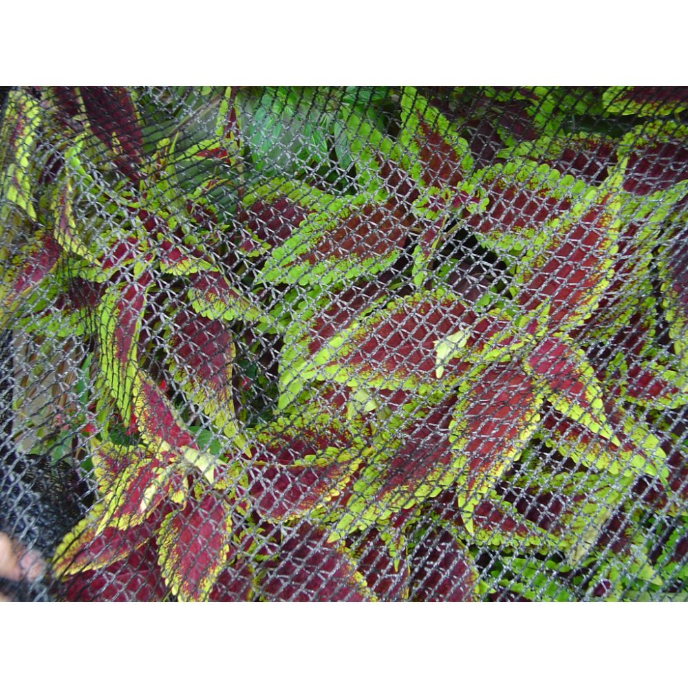 DeWitt Dewitt Bird Barricade Deluxe Netting 1/4-inch Mesh - 7' x 20'