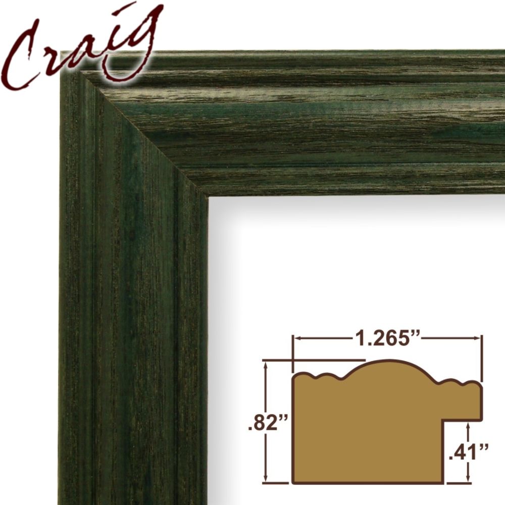 Craig Frames Inc&nbsp; 12'' x 16'' Green Wood