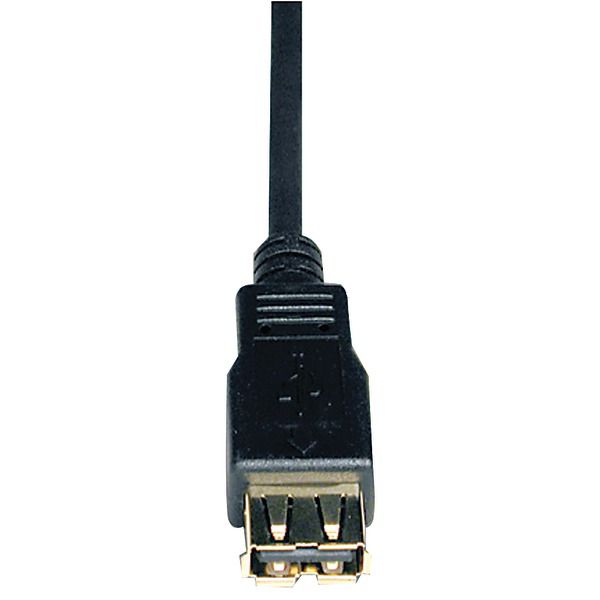 Tripp Lite USB EXT CABLE 10 FT