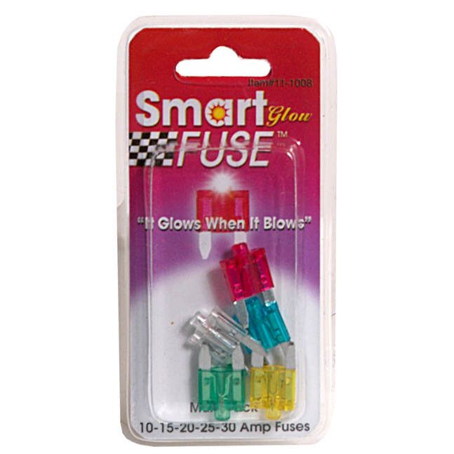 Fuses, Multi-Pack, 1 pack