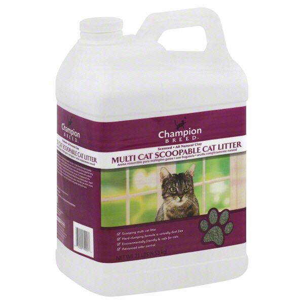Champion Breed Cat Litter, Multi Cat Scoopable, Scented, 21 lb (9.53 kg) at Kmart.com